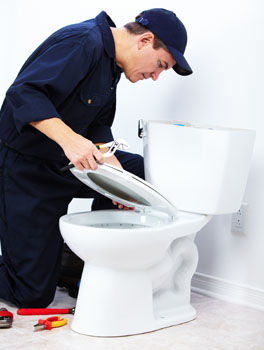Toilet Toilet